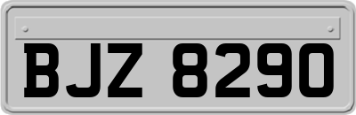 BJZ8290