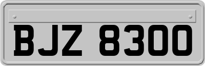 BJZ8300