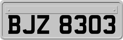 BJZ8303