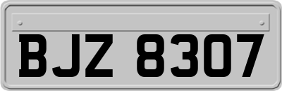 BJZ8307