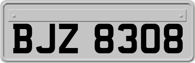 BJZ8308