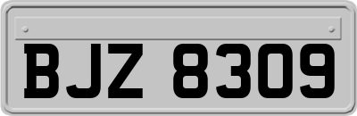 BJZ8309