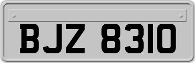 BJZ8310