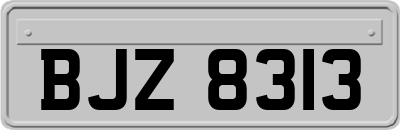 BJZ8313