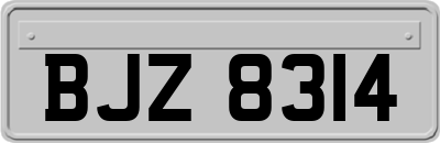 BJZ8314