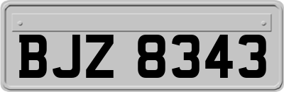 BJZ8343