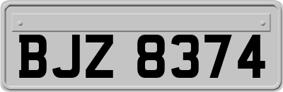 BJZ8374