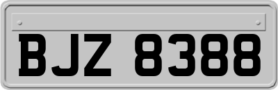 BJZ8388