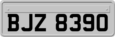 BJZ8390