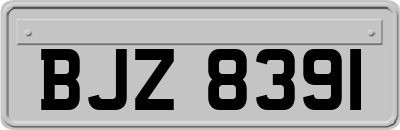 BJZ8391