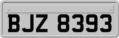 BJZ8393