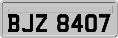 BJZ8407