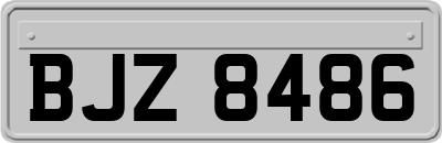 BJZ8486
