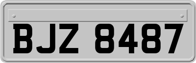 BJZ8487