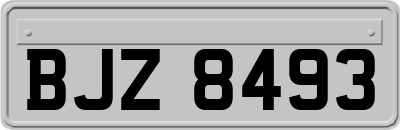 BJZ8493
