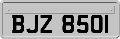 BJZ8501