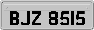 BJZ8515