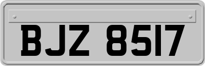 BJZ8517