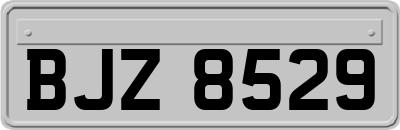 BJZ8529