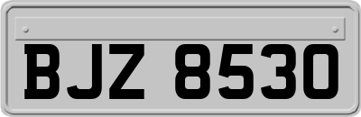 BJZ8530