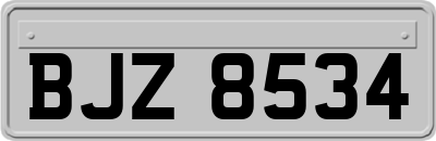 BJZ8534