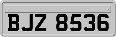 BJZ8536