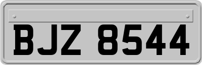 BJZ8544
