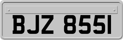 BJZ8551