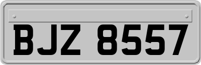BJZ8557