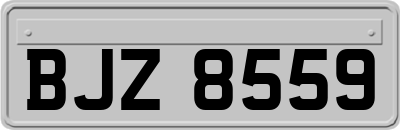 BJZ8559