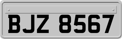 BJZ8567