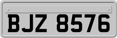 BJZ8576