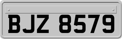 BJZ8579