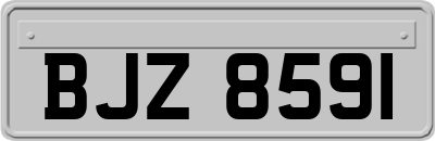 BJZ8591