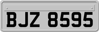 BJZ8595