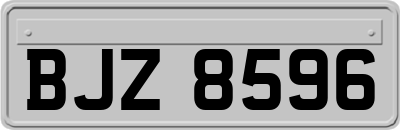 BJZ8596