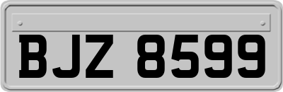 BJZ8599