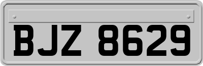 BJZ8629
