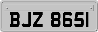 BJZ8651