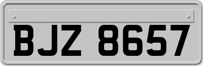 BJZ8657
