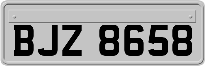 BJZ8658