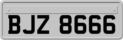 BJZ8666
