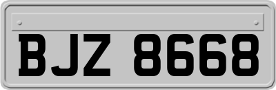 BJZ8668