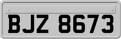 BJZ8673