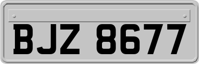 BJZ8677
