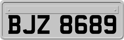 BJZ8689