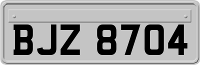 BJZ8704