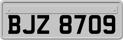 BJZ8709