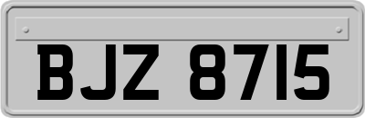 BJZ8715