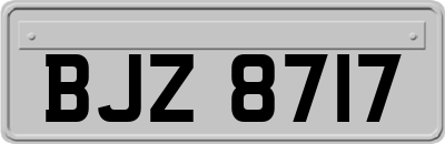BJZ8717